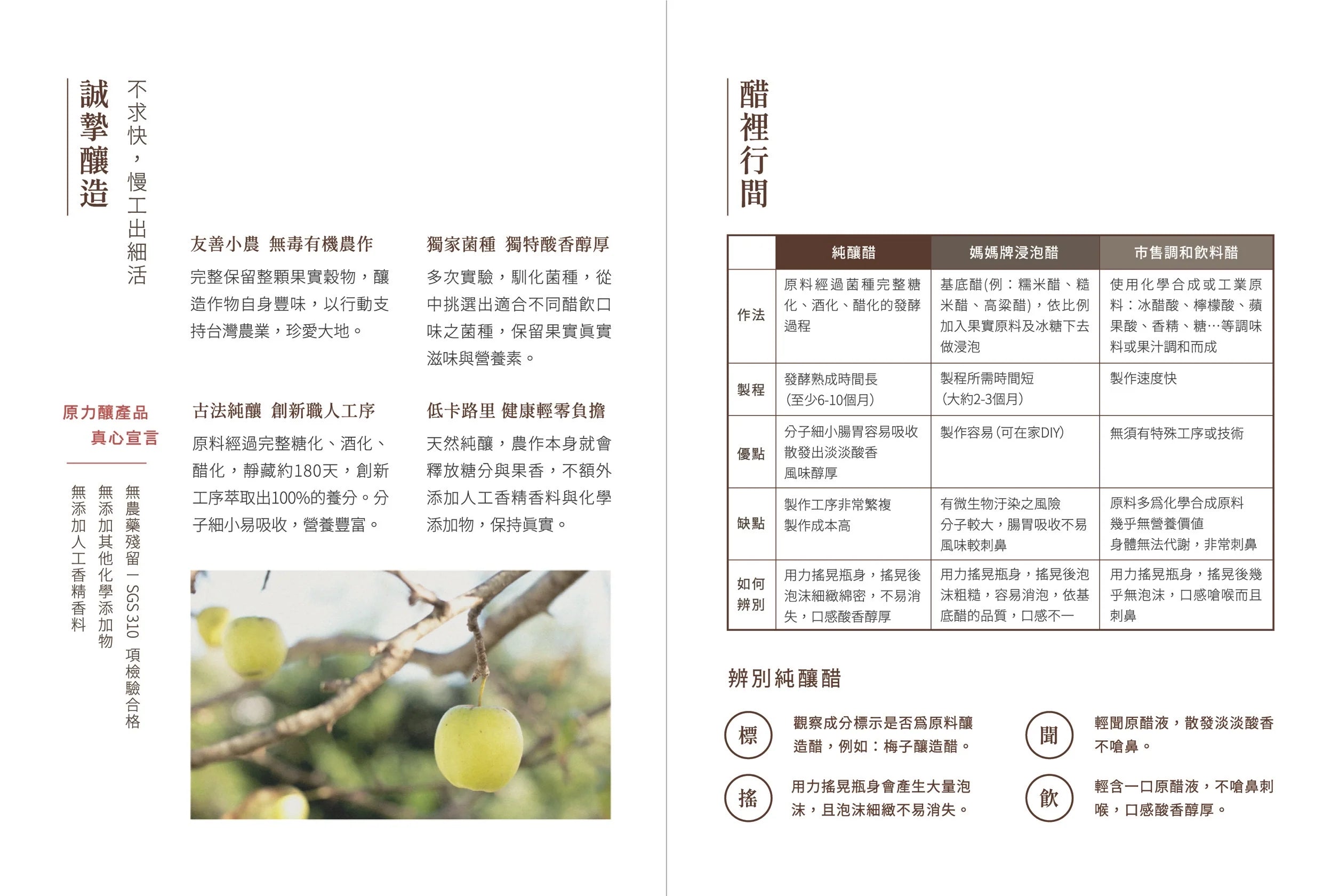 Fu Niang Fang Organic Plum Fermented Vinegar